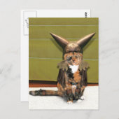 Nordic Cat is niet geamuseerd Briefkaart (Voorkant / Achterkant)