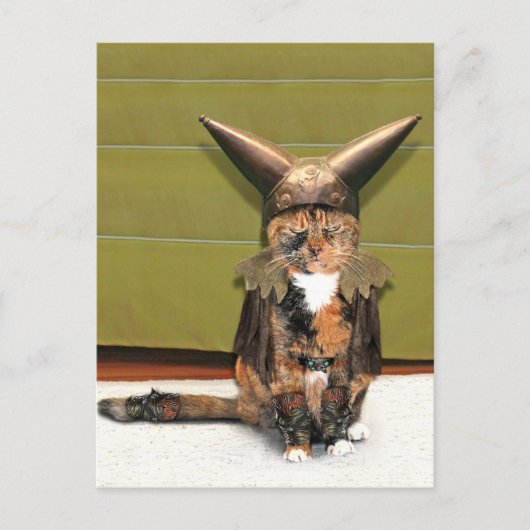 Nordic Cat is niet geamuseerd Briefkaart (Voorkant)