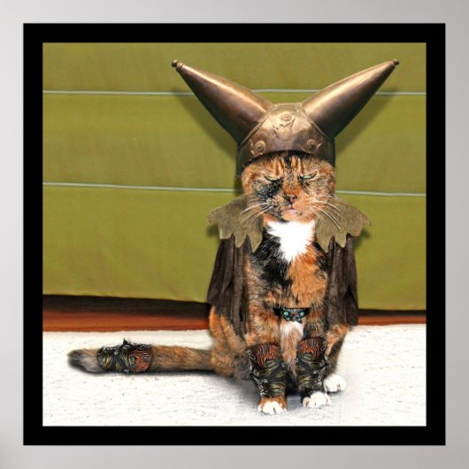 Nordic Cat is niet geamuseerd Poster (Voorkant)