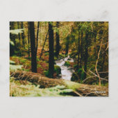 Nordic Woods Briefkaart (Achterkant)