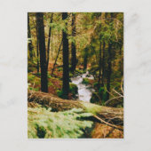 Nordic Woods Briefkaart (Voorkant)