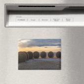 Nordkap Magneet (Insitu (Vaatwasser))