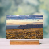 Nordkapp Acryl Bord (Neutraal)