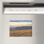 Nordkapp Magneet (Insitu (Vaatwasser))