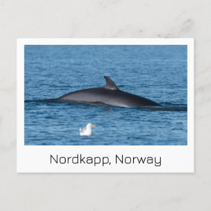 Nordkapp, Noorwegen souvenir briefkaart. Briefkaart