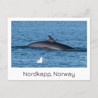 Nordkapp, Noorwegen souvenir briefkaart. Briefkaart