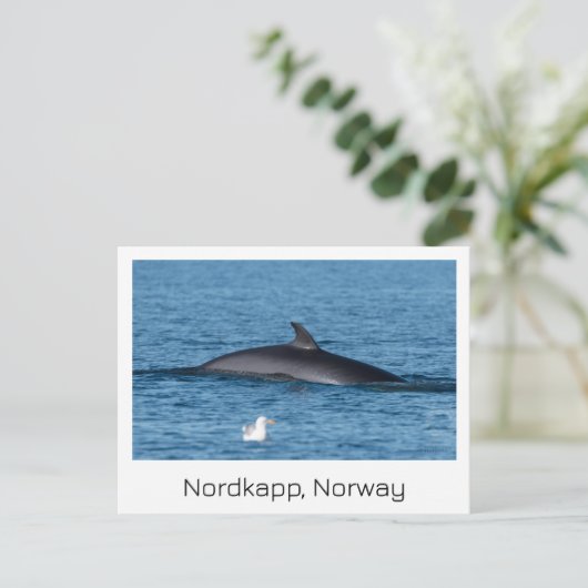 Nordkapp, Norvège carte postale souvenir. (Debout devant)