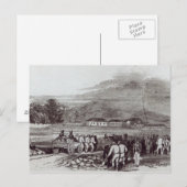 Norfolk Briefkaart (Voorkant / Achterkant)