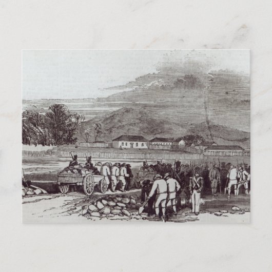 Norfolk Briefkaart (Voorkant)