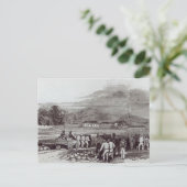 Norfolk Briefkaart (Staand voorkant)