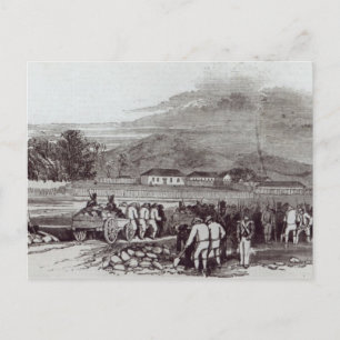Norfolk Briefkaart