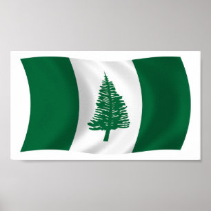 Norfolk Eiland Vlag Poster Print