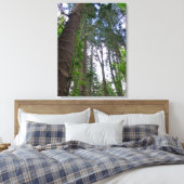 Norfolk Island Pine Trees Canvas Afdruk (Insitu (Slaapkamer))