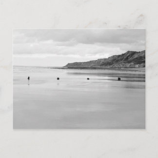 Norfolk Shore Briefkaart