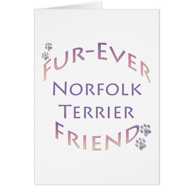 Norfolk Terrier Furever (Devant)