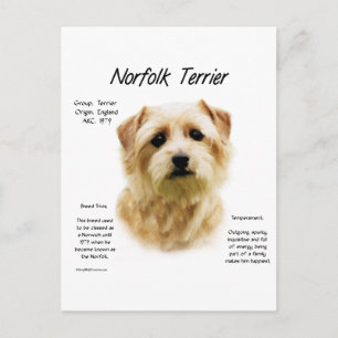 Norfolk Terrier Geschiedenis Ontwerp Briefkaart