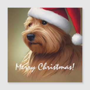 Norfolk Terrier Kerstmis