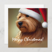 Norfolk Terrier Kerstmis (Voorkant / Achterkant)