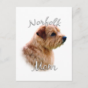Norfolk Terrier Ma 2 Briefkaart