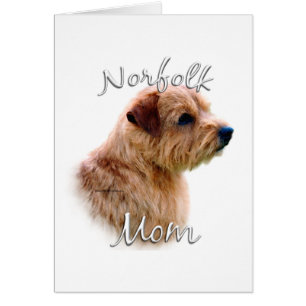 Norfolk Terrier Maman 2