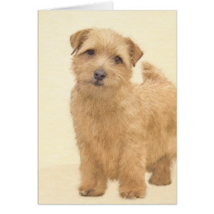 Norfolk Terrier Painting - Art original du chien