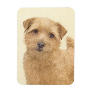 Norfolk Terrier Painting - Original Dog Art Magneet