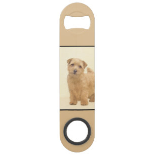 Norfolk Terrier Painting - Original Dog Art Speed Flessenopener