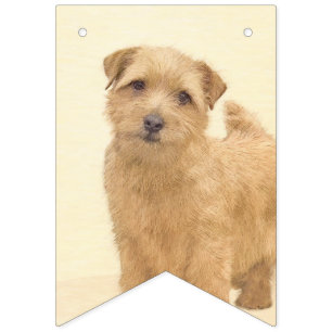 Norfolk Terrier Painting - Original Dog Art Vlaggetjes