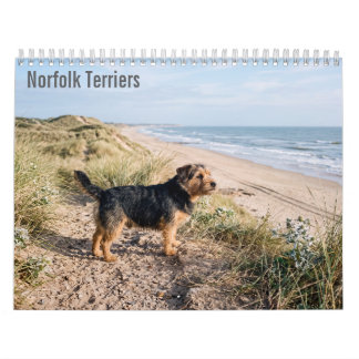 Norfolk Terriers 2027 wandkalender Kalender