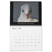 Norfolk (UK) Coastal Wildlife kalender 2018 (Feb 2026)