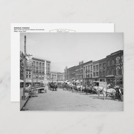  Norfolk, VA: Commercieel vierkant (1905) Briefkaart (Voorkant / Achterkant)