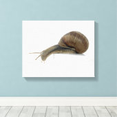 Normalsnagel Canvas Afdruk (Insitu (Houten vloer))