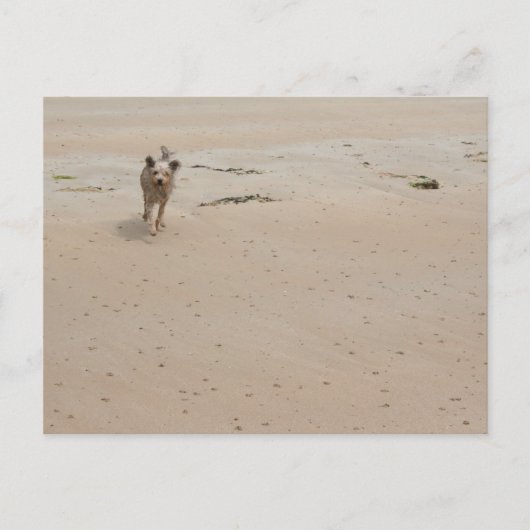 Normandië 2009 (1) briefkaart (Voorkant)