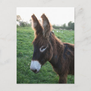 Normandië 2009 briefkaart