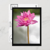 NORMAN'S LOTUS VISION BRIEFKAART (Voorkant / Achterkant)