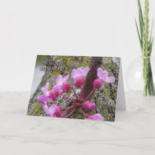 Noroez, Redbud Tree in Bloom, Lente Foto Kaart