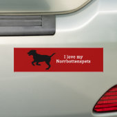 Norrbottenspets Hondenliefde Bumpersticker (Op auto)