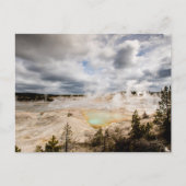 Norris Geyser Basin Yellowstone Briefkaart (Voorkant)