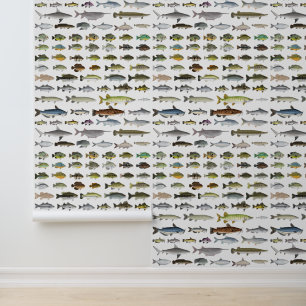 North America Freshwater Fish Group Behang