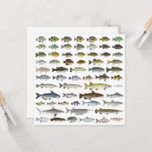 North America Freshwater Fish Group Kaart (Voorkant / Achterkant in situ)