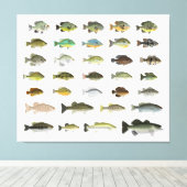 North America Sunfish Group Canvas Afdruk (Insitu (Houten vloer))