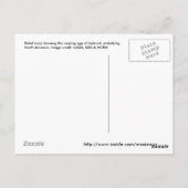 North_america_terrain_2003_map Briefkaart (Achterkant)