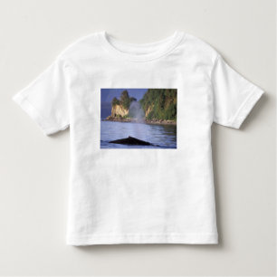 North America, USA, Alaska, Inside Passage. Kinder Shirts