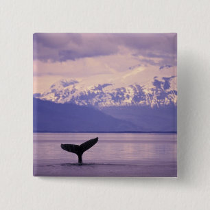 North America, USA, Alaska, Inside Passage. Vierkante Button 5,1 Cm