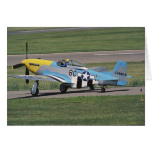 North American P-51 D Dazzling Donna op de