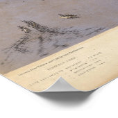 North and South Carolina 2 Poster (Hoek)