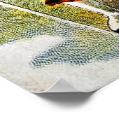 North British Clincher Motor Tires -  1909 Poster (Hoek)