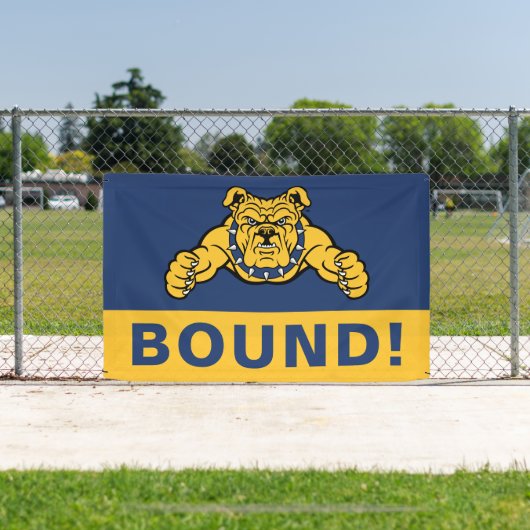 North Carolina A&T State University | Bulldog Spandoek (Insitu)