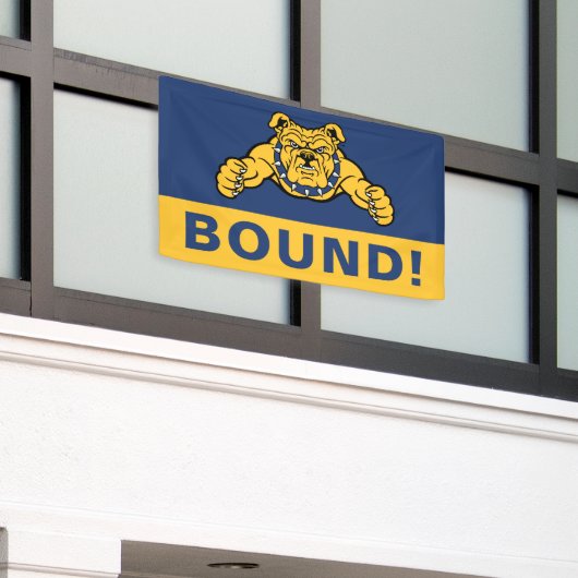 North Carolina A&T State University | Bulldog Spandoek (Buitenkant Gebouw)