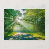 North Carolina Blue Ridge Barkway Mountains Briefkaart (Voorkant)